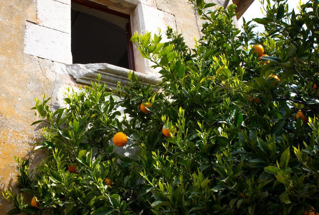 Apartamentos En La Rectoria De Regencos Exterior photo